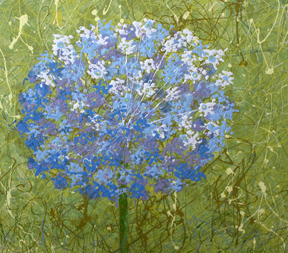 Allium