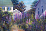 lupine